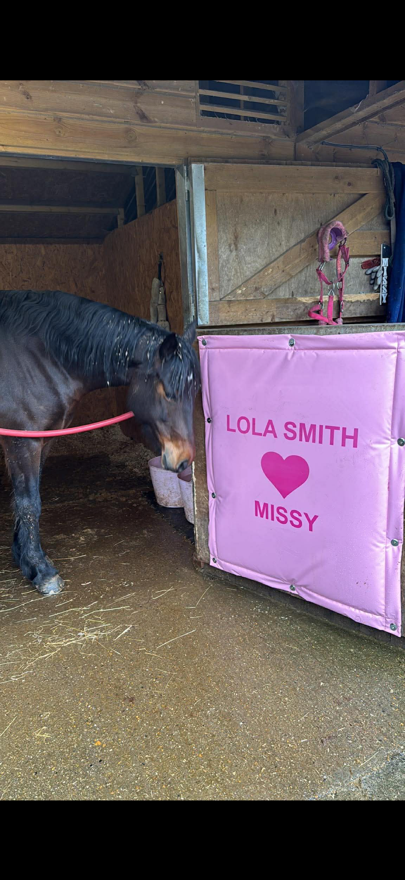 Stable Door Guards - not personalised