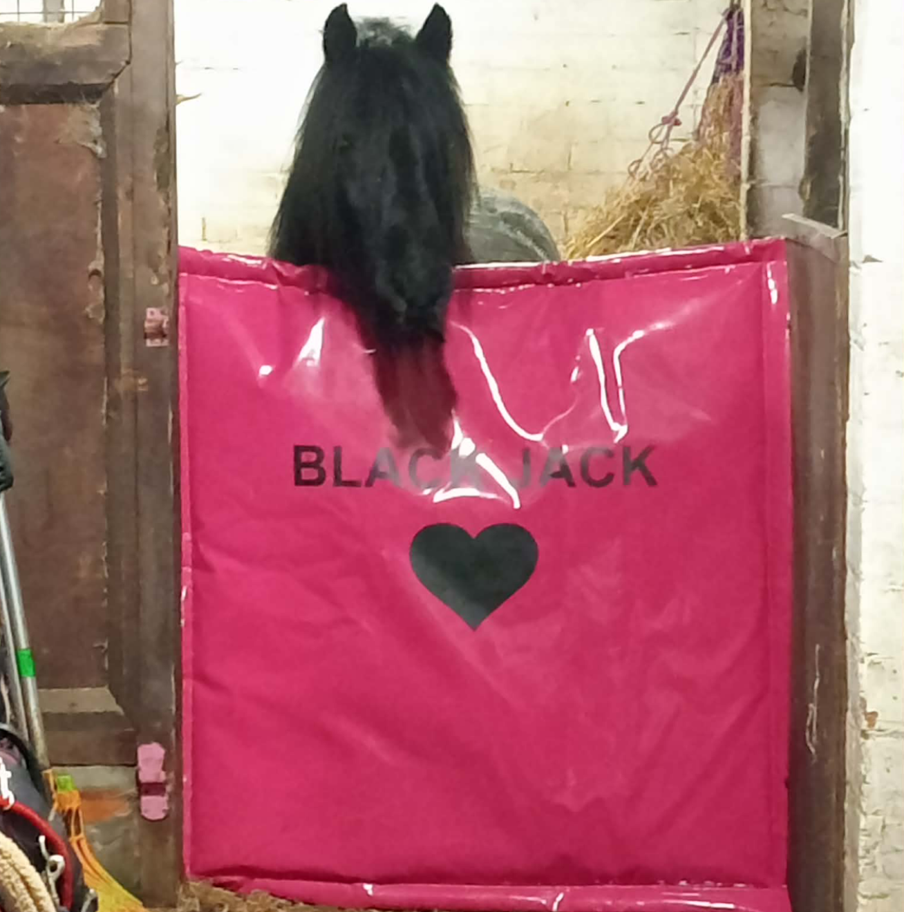 Kick Protection Guard 1m x 1.2m