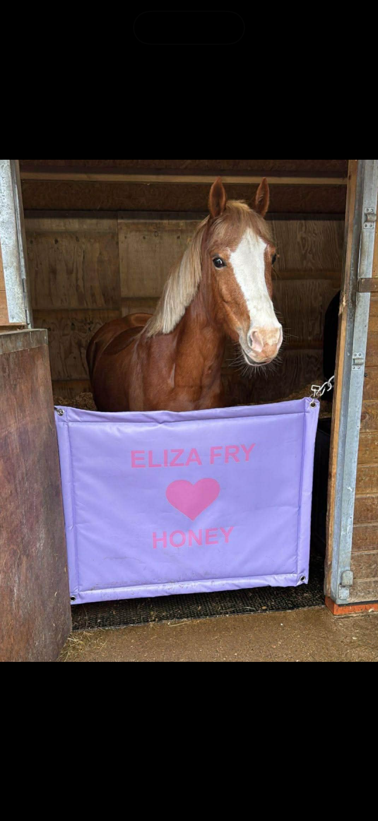 Stable Door Guards - not personalised