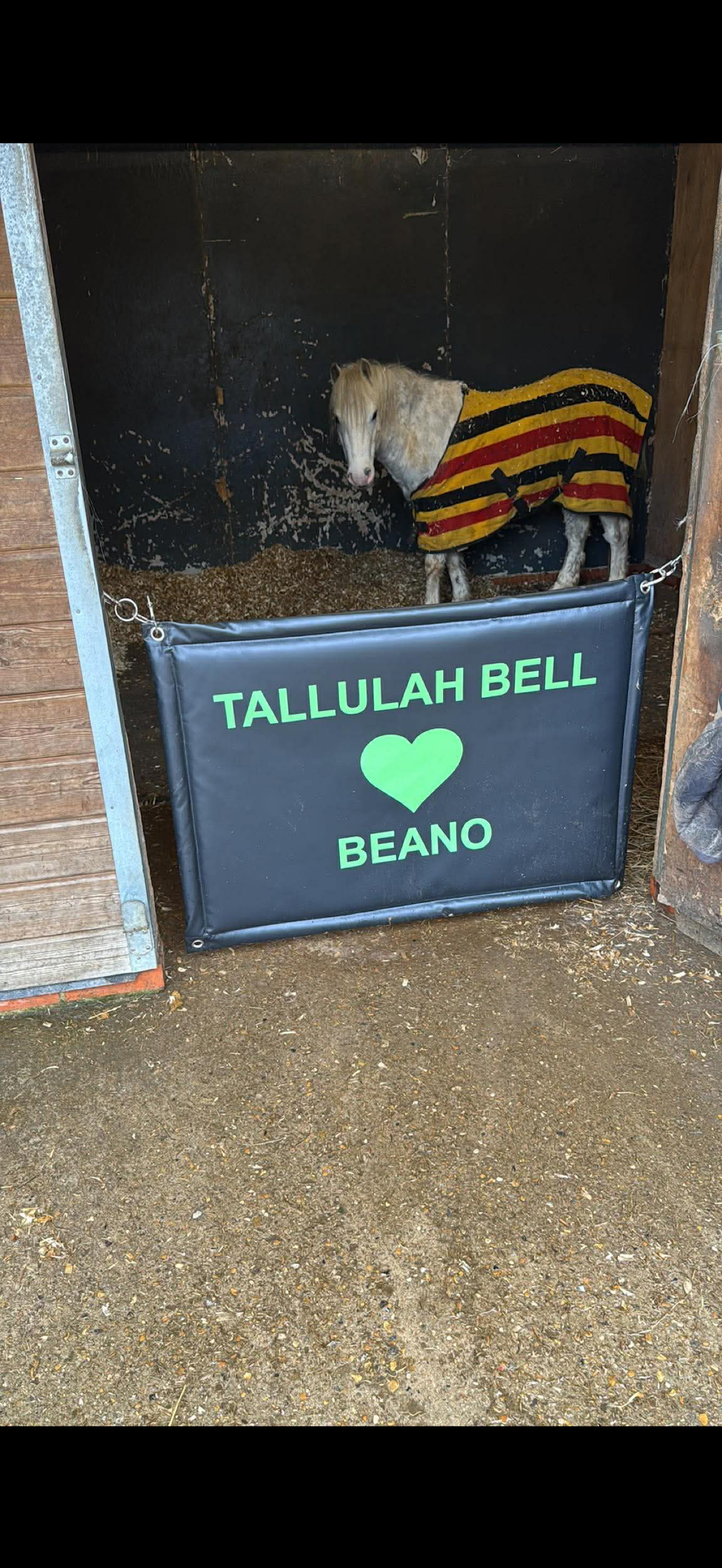 Stable Door Guards - not personalised