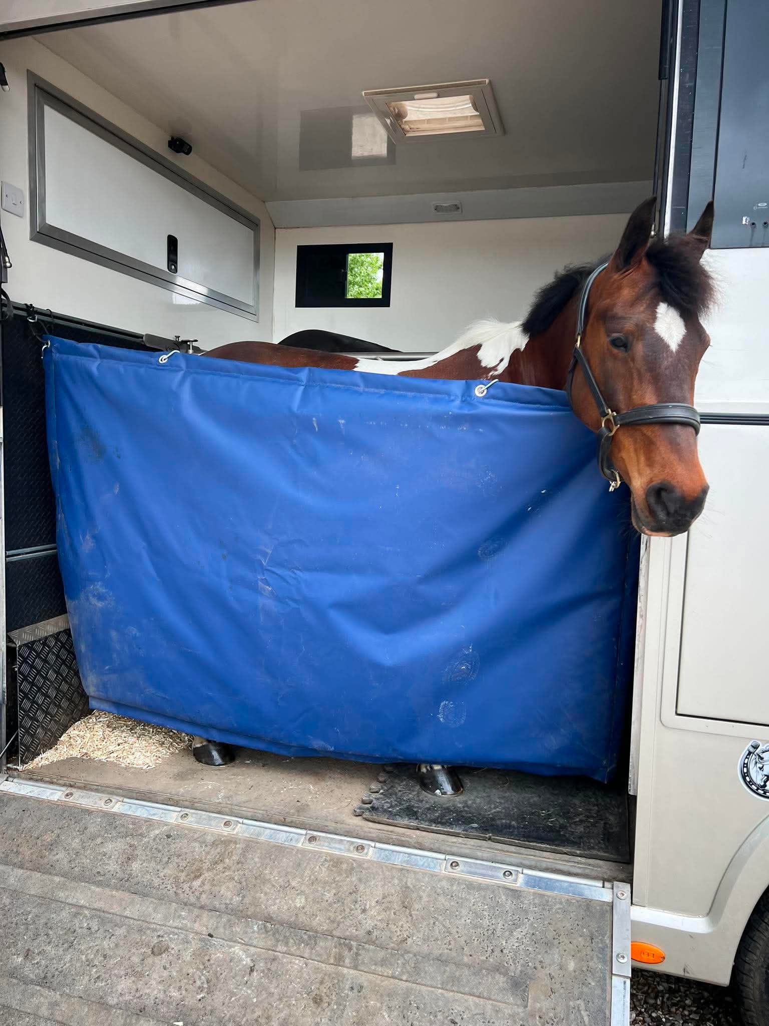 Horsebox Partition Barrier - 1.2m x 2m