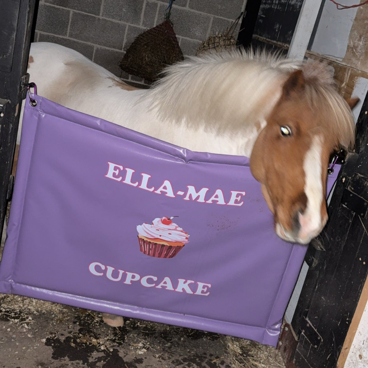 Stable Door Guards - not personalised