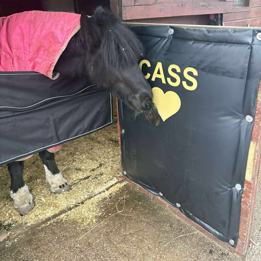 Kick Protection Barrier 1m x 1.2m