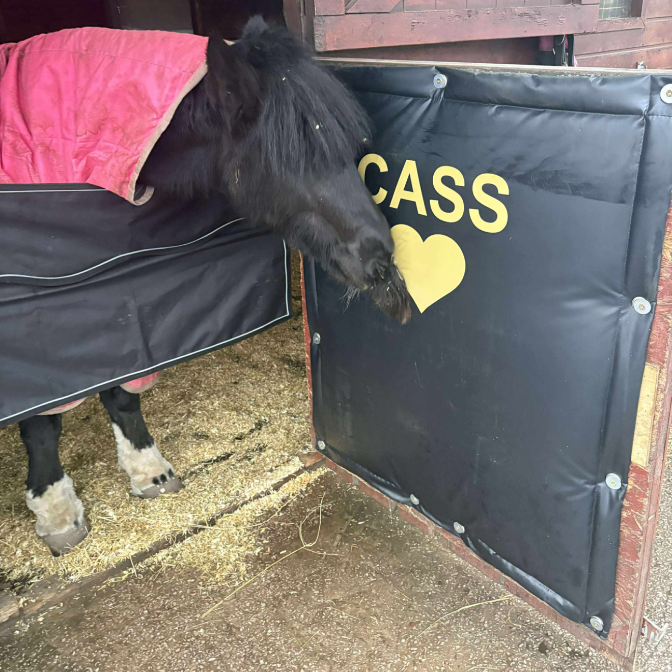 Kick Protection Barrier 1.2m x 1.2m