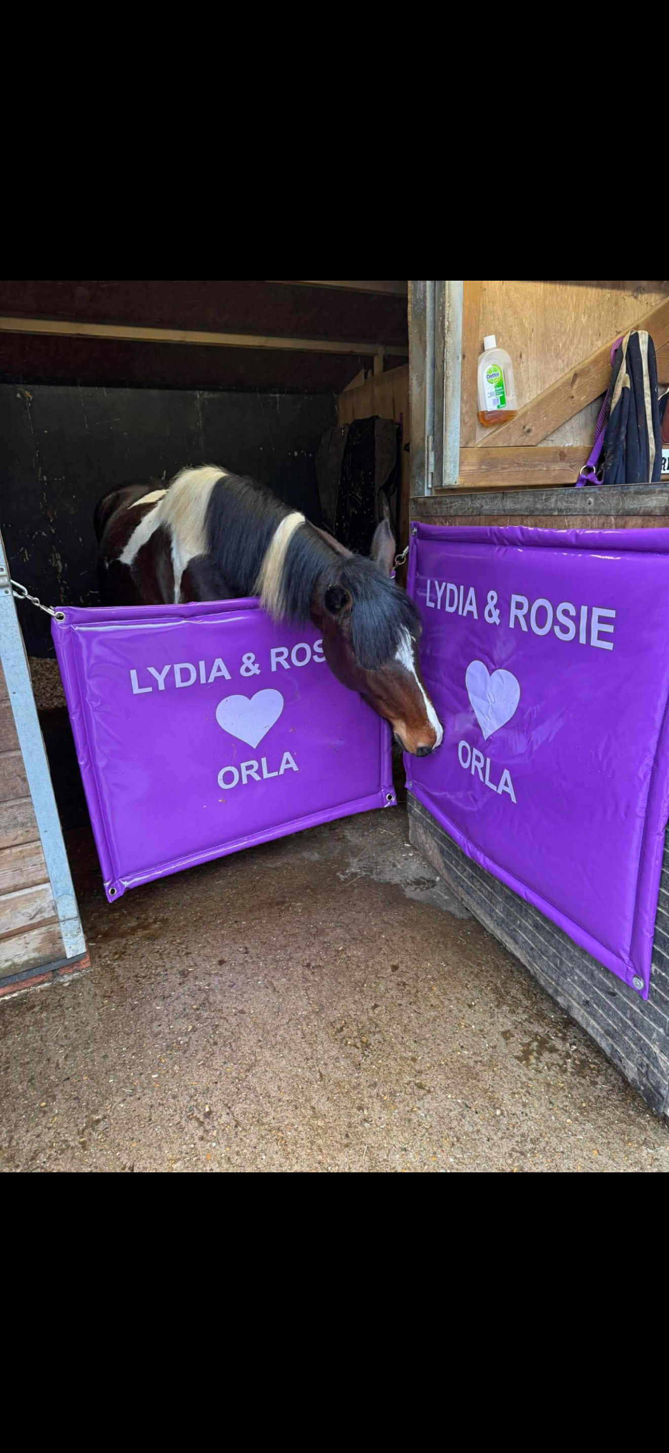 Stable Door Guards - not personalised